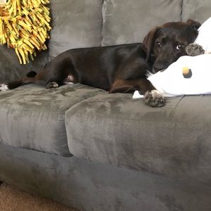 Meet your Posher, Whitney